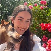 Clases particulares de inglés y apoyo escolar primaria y secundaria